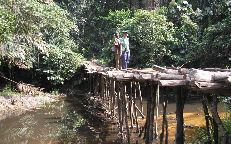 Mangbangú (RDC) Atravesando uno de los puentes tradicionales para llegar a un pueblo en medio de la selva