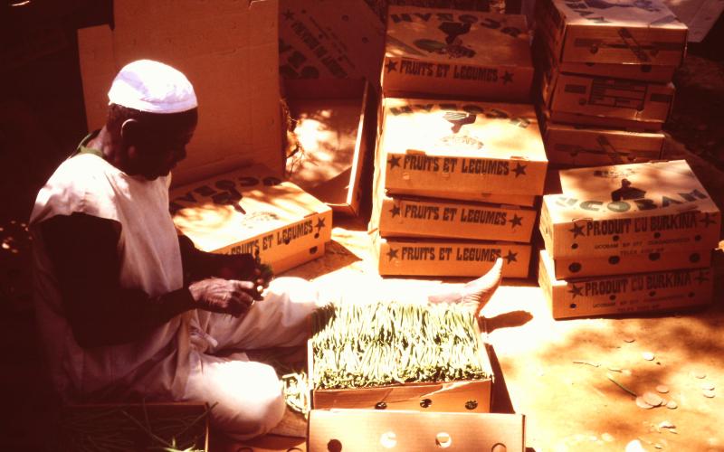 1991 Burkina Faso 