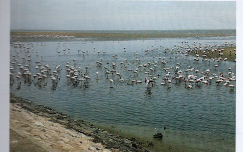 La laguna de Walvis Bay