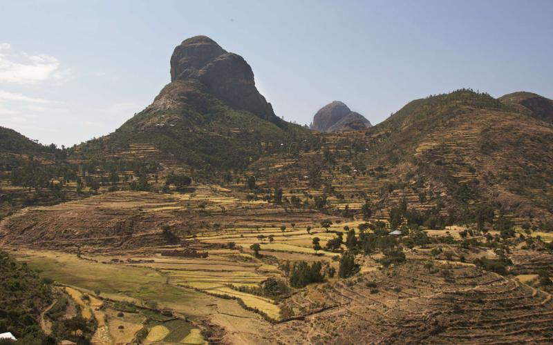 Terrazas en la zona del Tigray (Imagen: Alan Davey/Flickr)